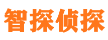 田阳市婚外情调查